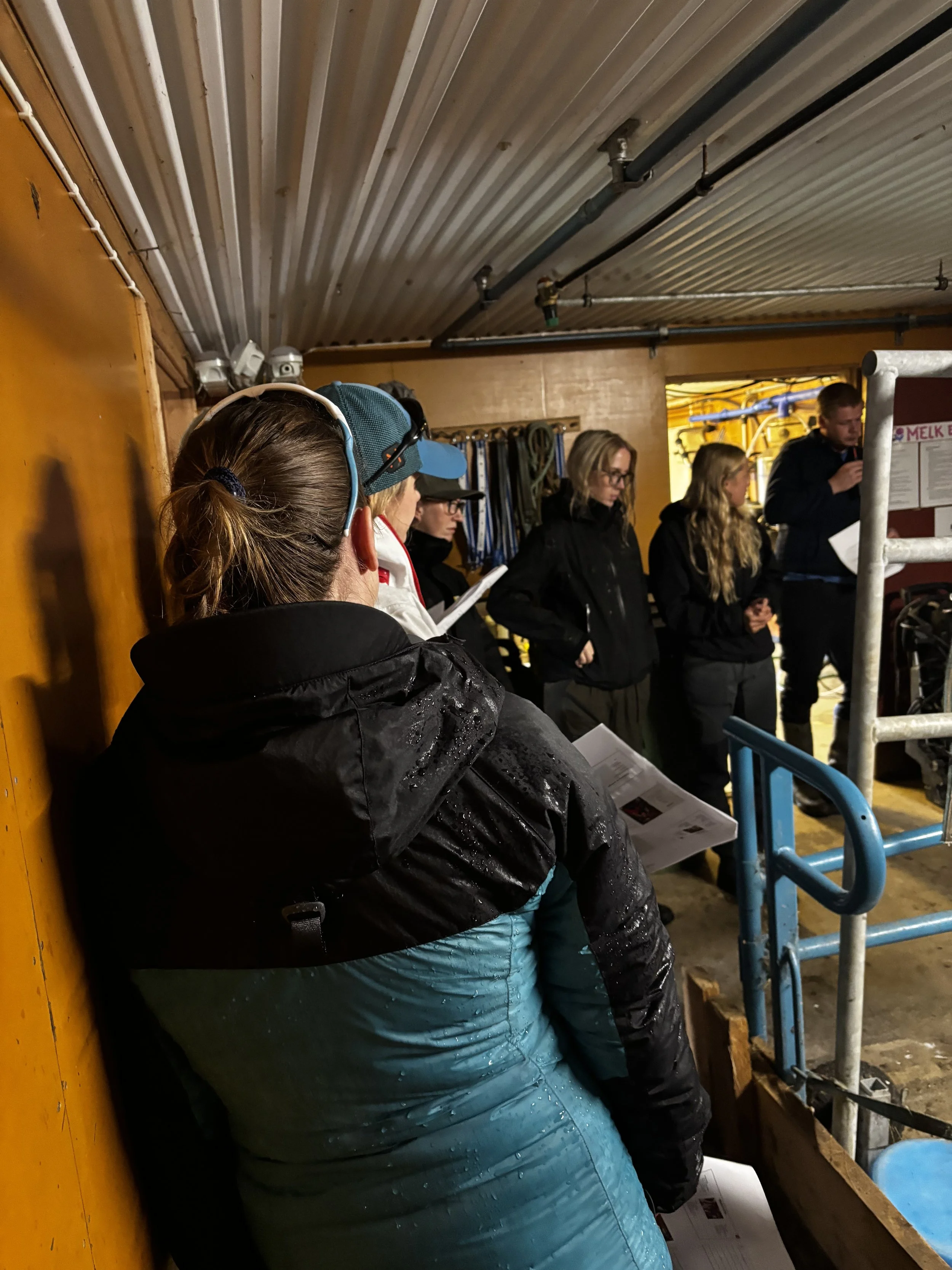 TINE-rådgiver Esten Bruheim ga gode råd for å opprettholde melkeytelsen på setra.