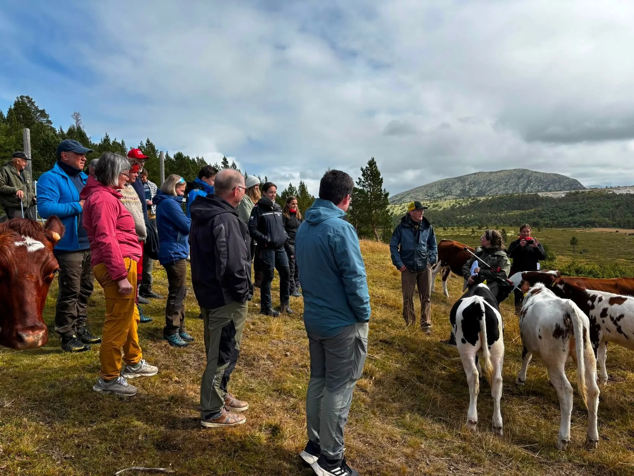 NLR-rådgiver Ingrid Tragheton tok oss med på ei vandring på innmarksarealene på setra.