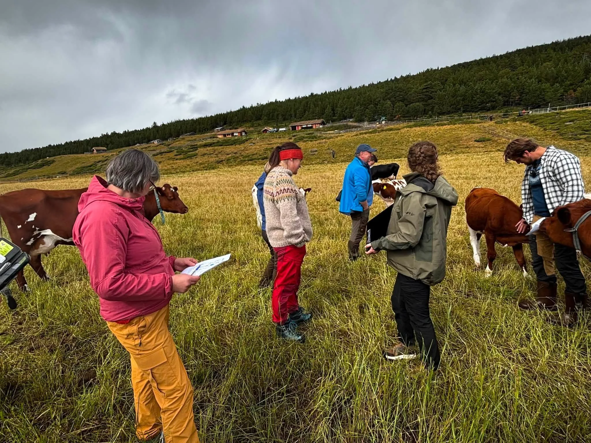 Deltakerne fikk bryne seg på "beitebingo".