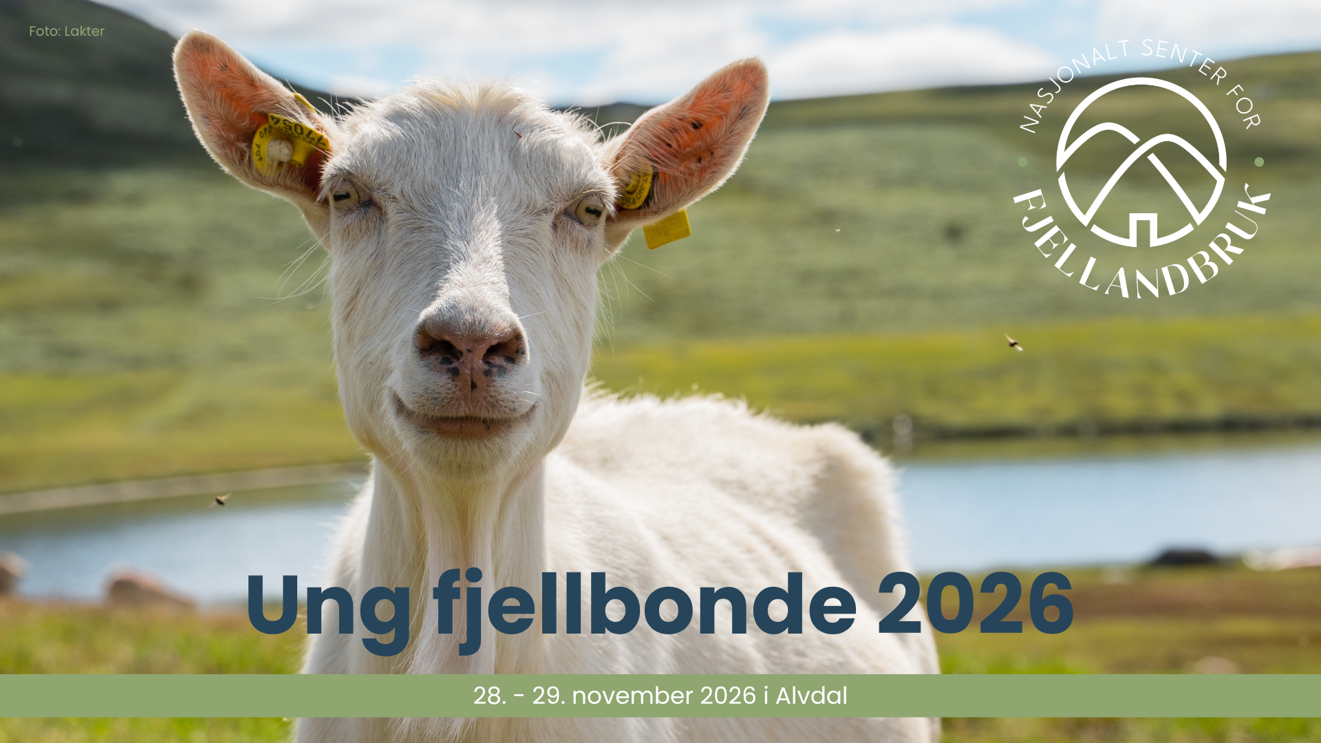 Påmelding til Ung Fjellbonde 2026 åpnet
