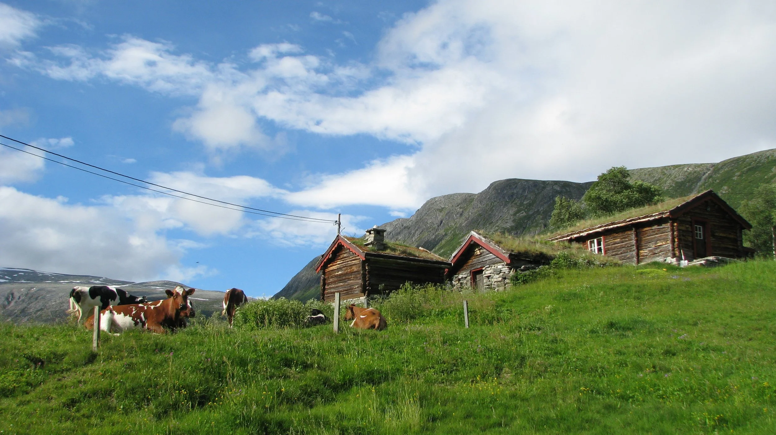 Setring og Seterkultur — Nasjonalt senter for fjellandbruk