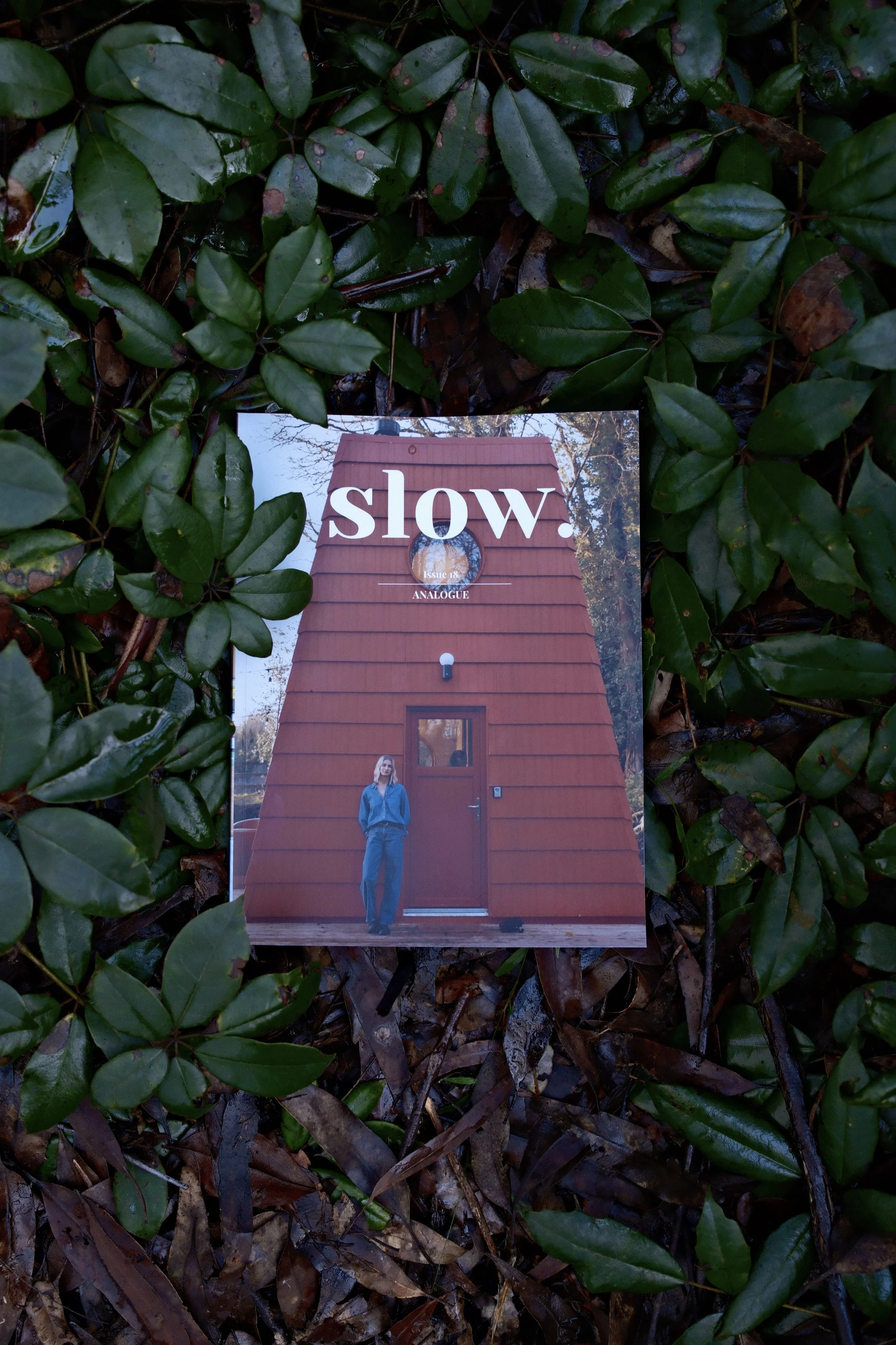 Issue 18 - Analogue Hardcopy