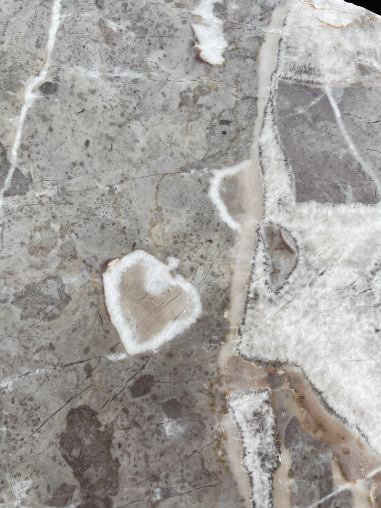 happy valentine&rsquo;s day 🩶