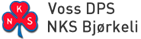 Voss DPS - Utviklingsplan