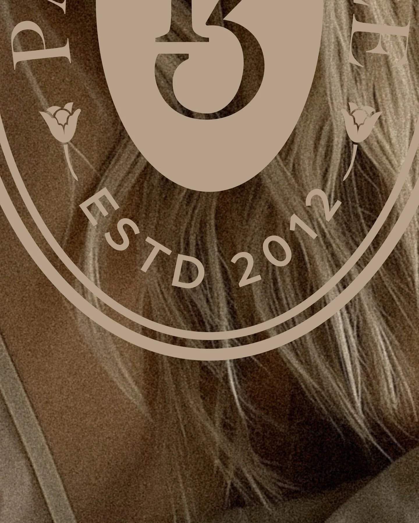 Refined, thoughtful, and a little more like us, welcome to the new look for Parlour 3.
#Parlour3 #NashvilleSalon #BrentwoodHair #SubtleLuxury #BrandLaunch