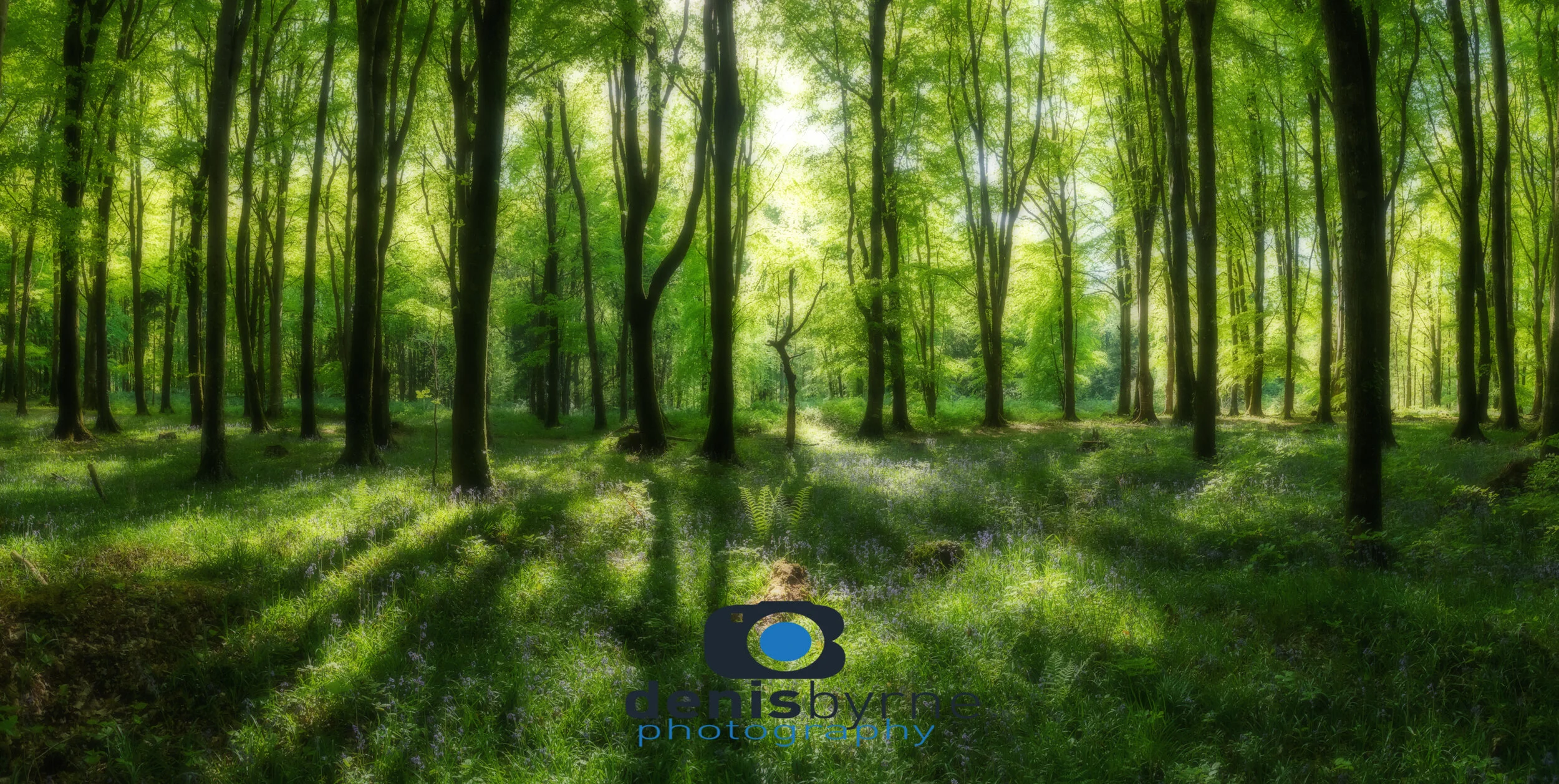 Green Forest Logo.jpg