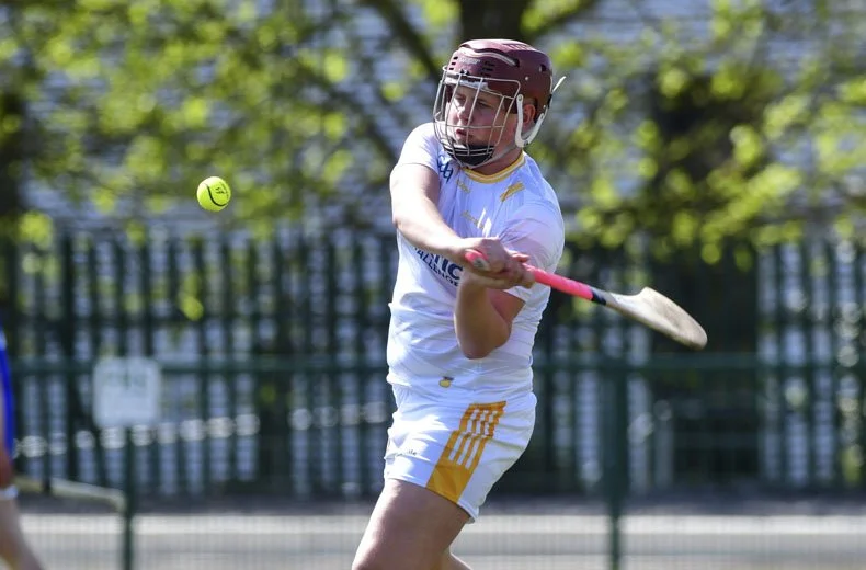 Celtic Challenge Rd 3 Laois v Antrim CoE Sat 25-04-2026
