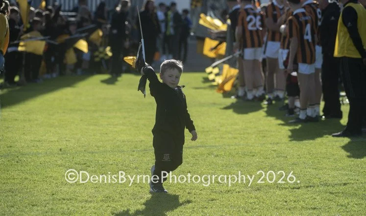 Senior Hurling Championship Final Harps v Camross Sun 18-10-026