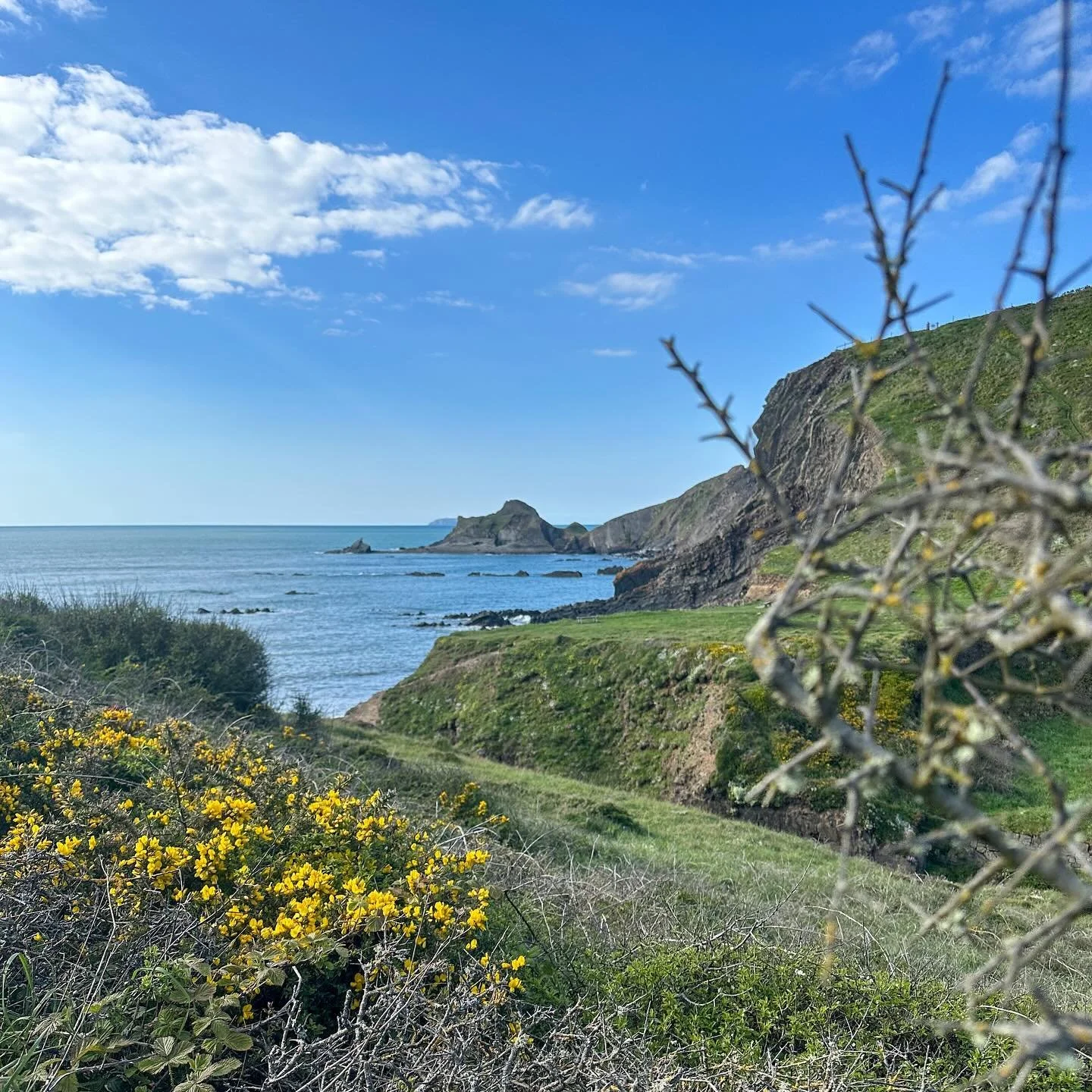 Getting reacquainted with this stretch of coast for the #tsunamimarathon in 6 weeks with @outeredge_events 

#trailrunning #trailrunner #coastalmarathon #marathontraining #running
