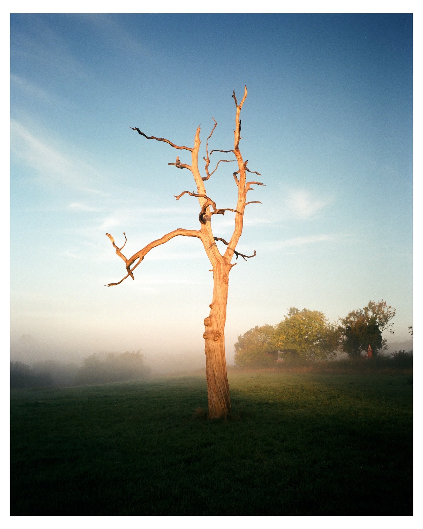 A pt2 to my fave shots of 2025 but thought I&rsquo;d just add these 2. This is to show my new found love of MF film photography and the direction I see myself going more in for this year. That direction being more intentional but with less pressure o