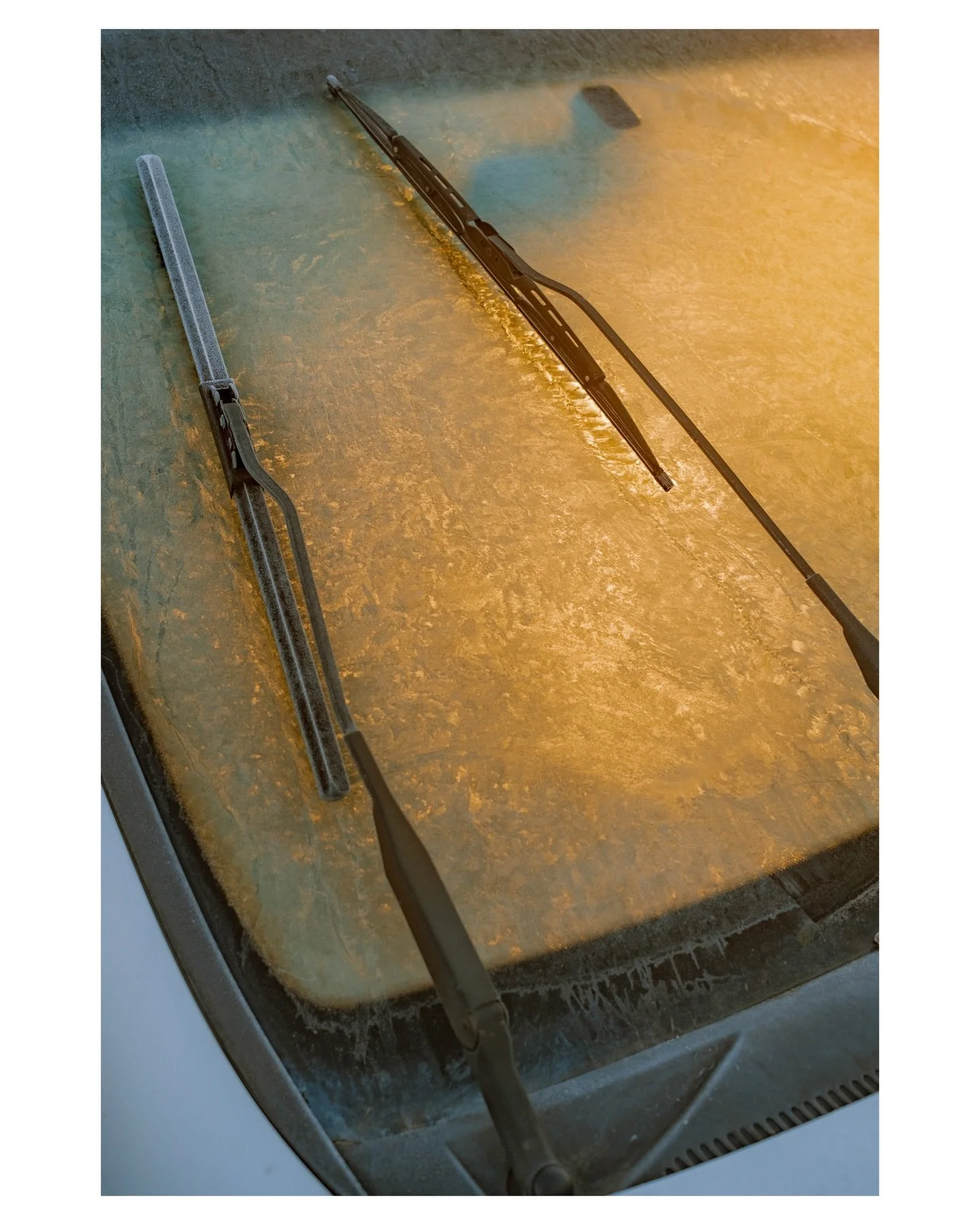 Frosty mornings.

2 shots caught on my walks around town with my X100v 📸
#fujix100v #mundanemagic