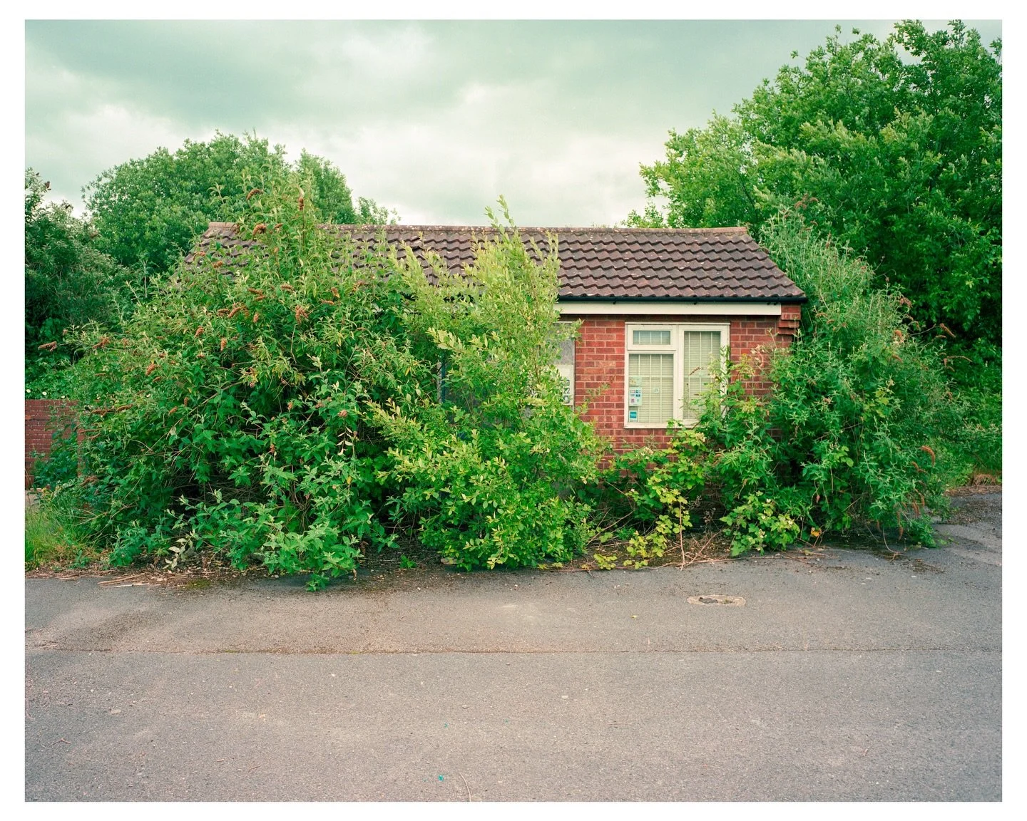 Nature fighting back.
Caught on 120 🎞️ with the Makina W67. 

#120mmfilm #thisaintartschool