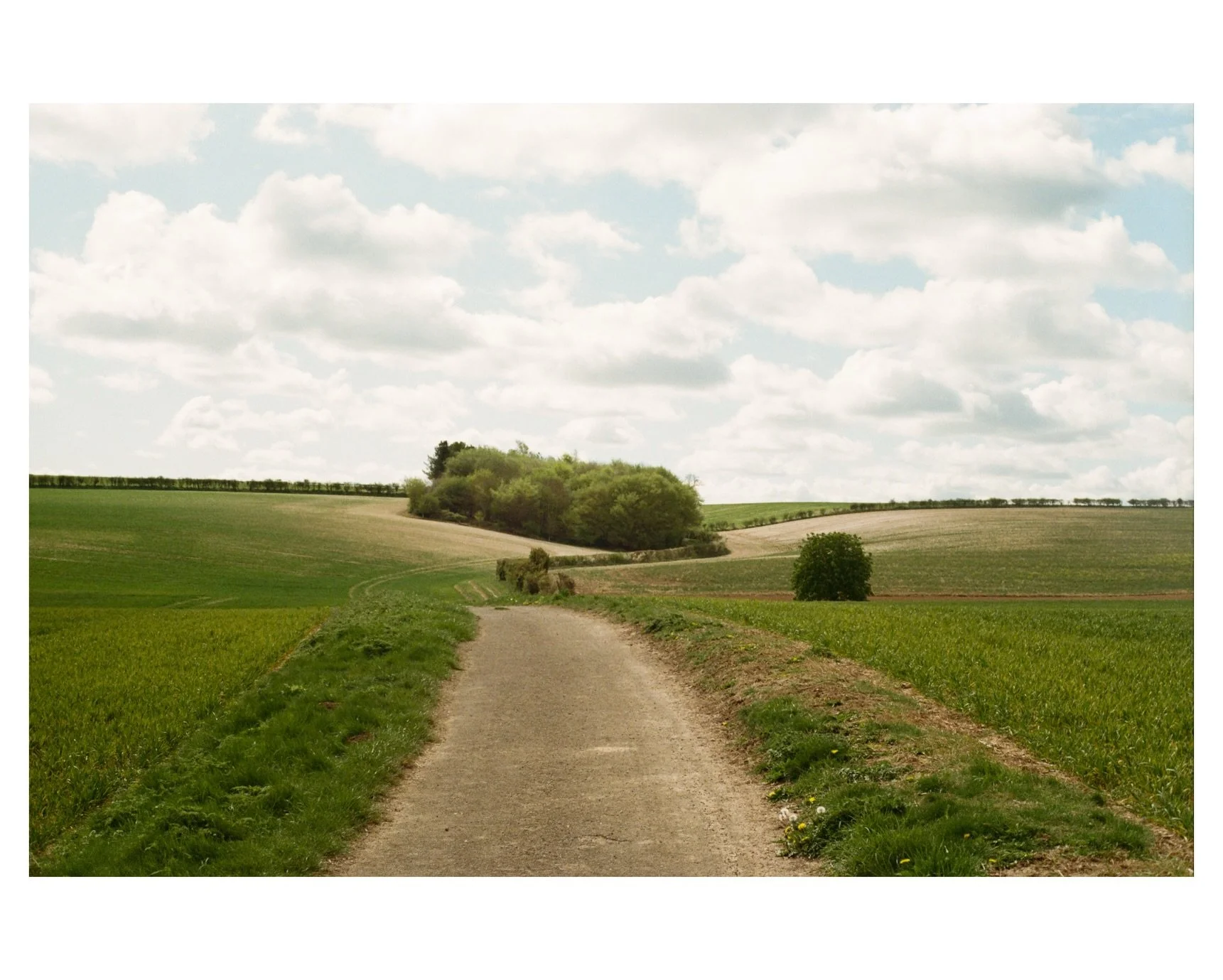 When capturing frames I tend to gravitate towards something more peaceful. Maybe because my life is generally hectic so having these moments are a nice way to relax. 
Both captured on the Canon AE-1 and shot with Kodak Gold 200 🎞️

#kodakeuropeprofe