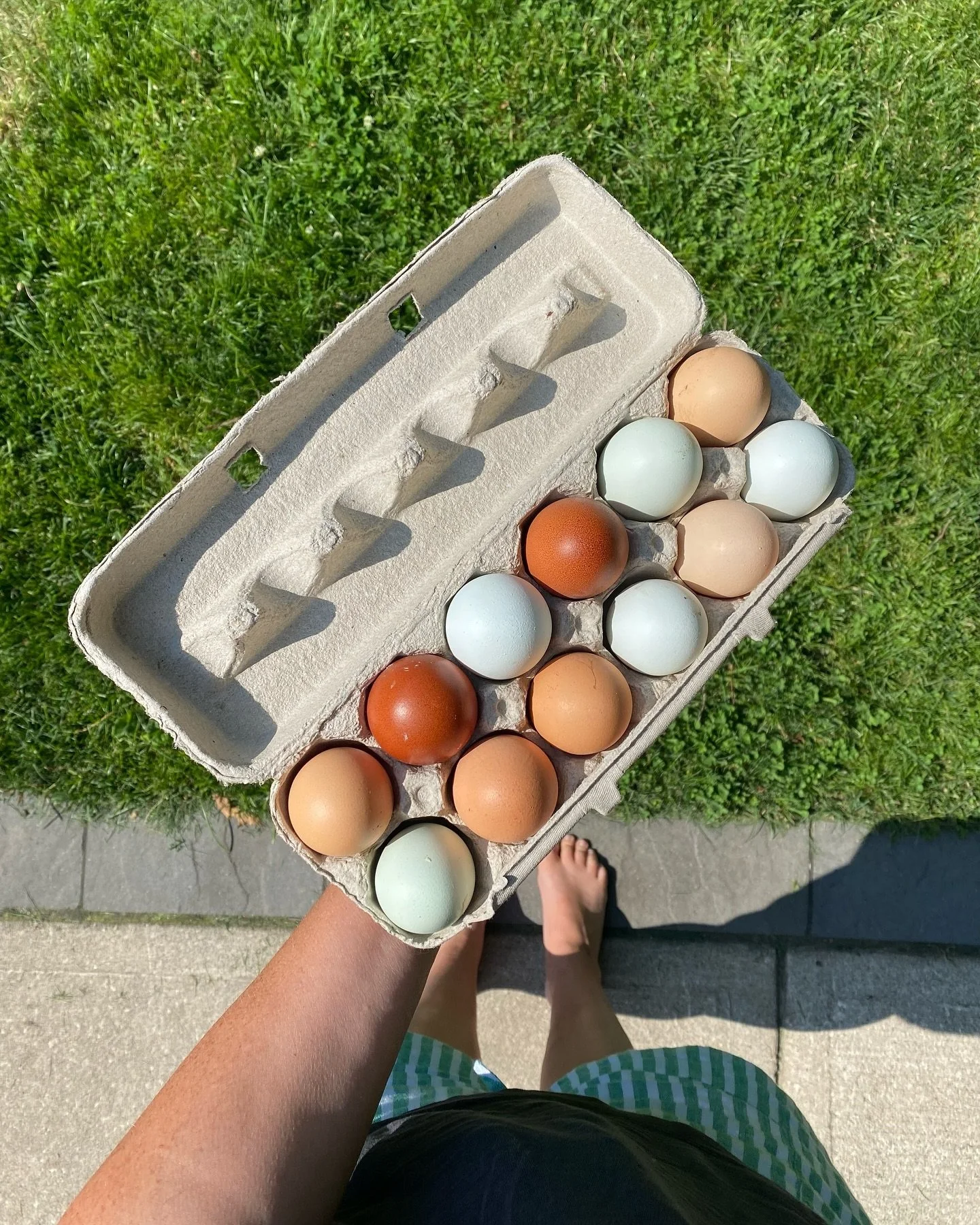 Dr. Andrea Ryan: Nourish and Heal Your Metabolism in Perimenopause