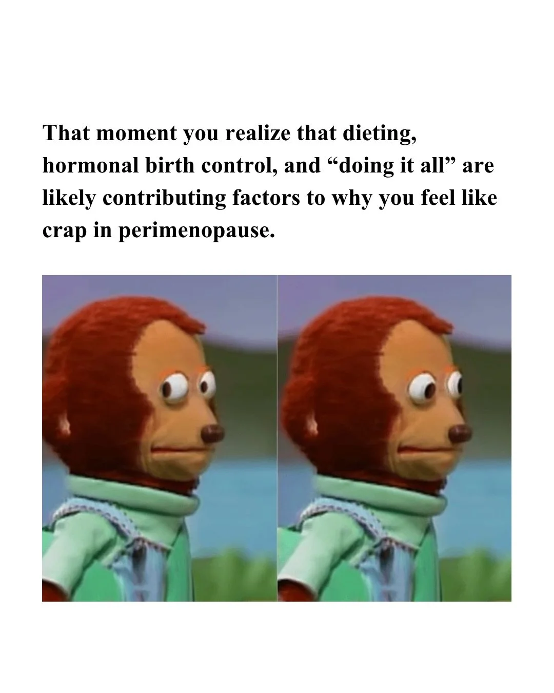 Wait, what. 👀

Never mind me. 

I&rsquo;ll just be over here in my corner of Insta, shedding light on the consequences of the &ldquo;We can do it all&rdquo; story we&rsquo;ve been selling ourselves for the last 20 years. 💅 

#generationX #perimenop