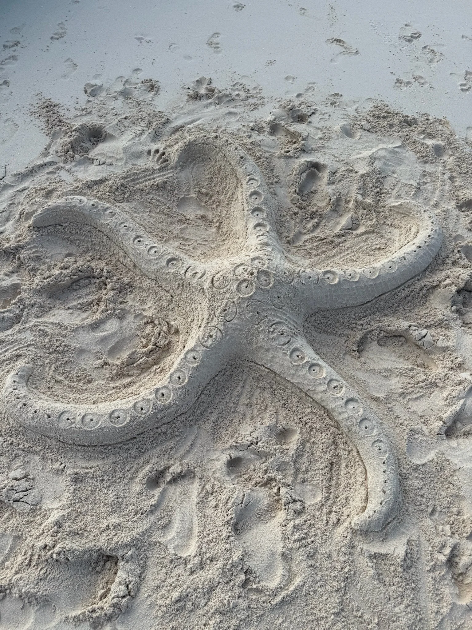 Sand on the beach shaped like an octopus with its tentacles spread out.