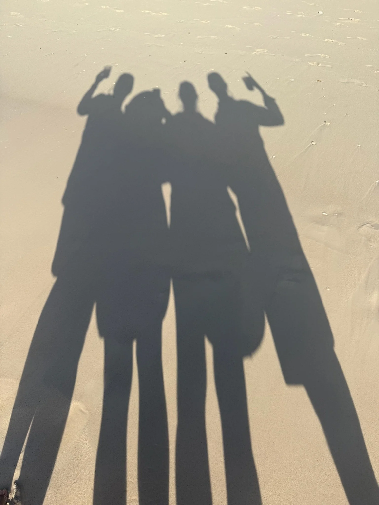 The shadows of four people are cast on a sandy beach, with each person raising one arm in a fist.