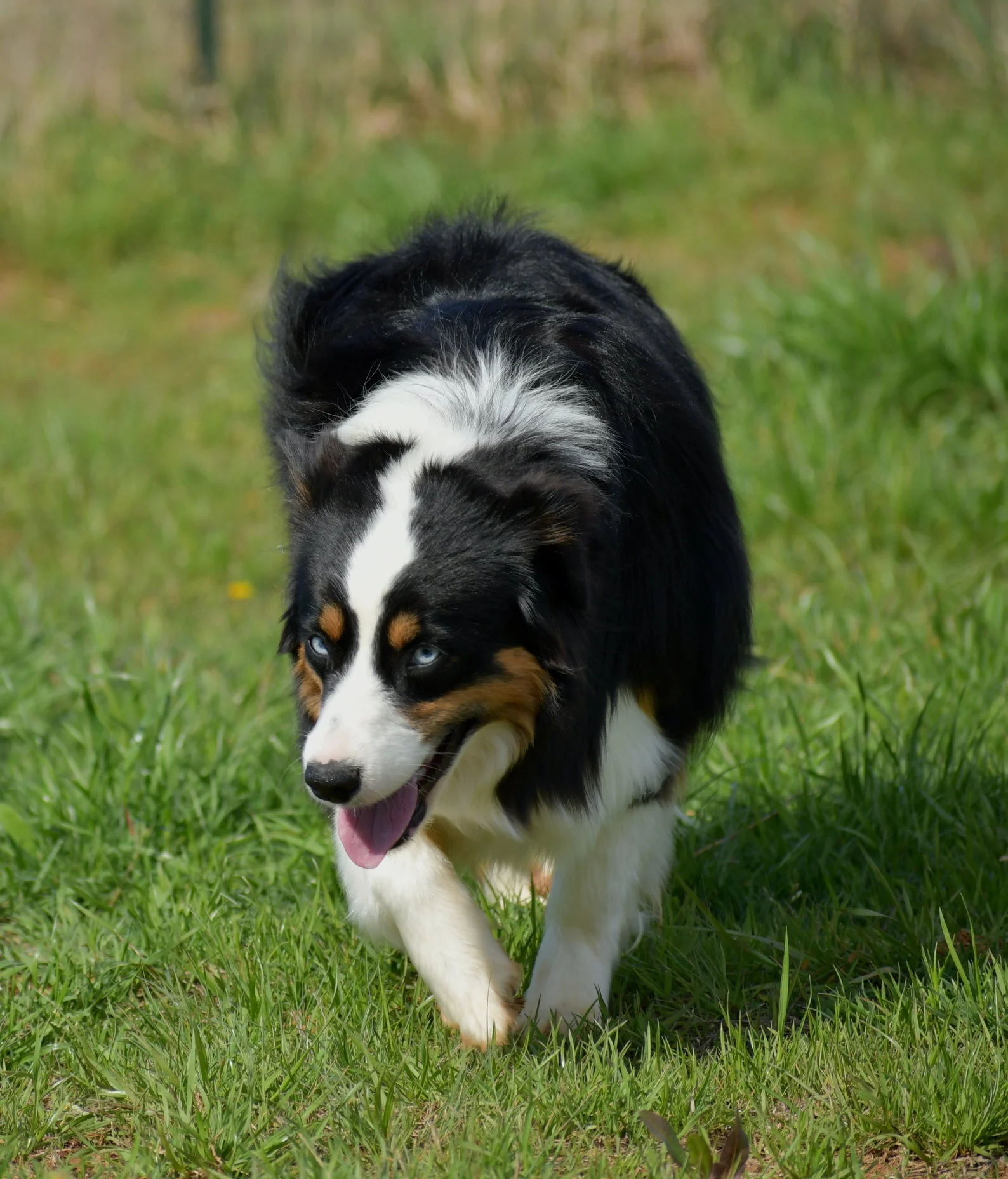 rsz_dsc_5879.jpg