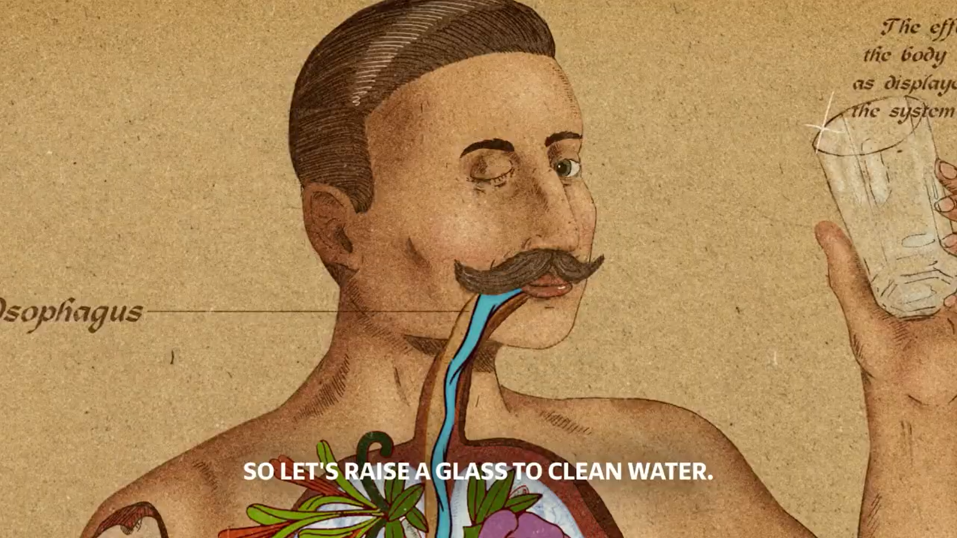 Vintage anatomical illustration shows a man drinking water.