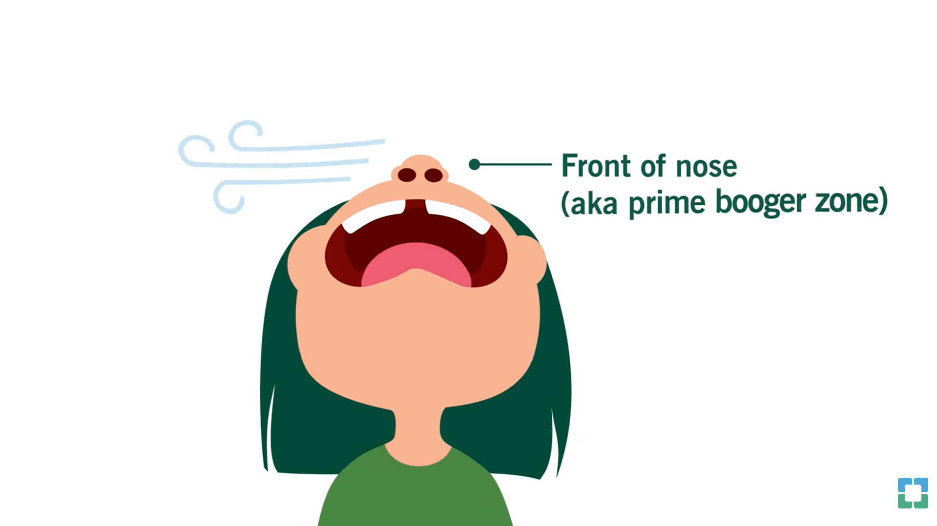 Diagram showing front of nose as prime booger zone