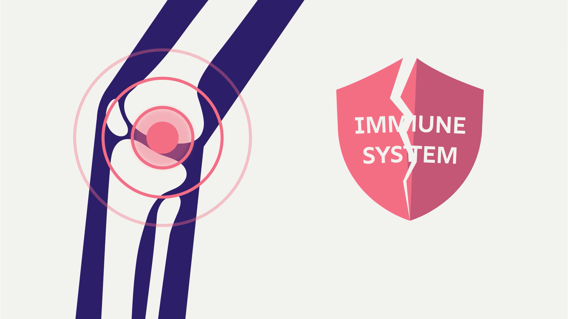 Shield icon labelled immune system breaking apart, illustrating how autoimmune conditions like inflammatory arthritis work