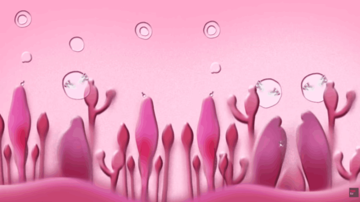 Pink microscopic environment showing cells growing