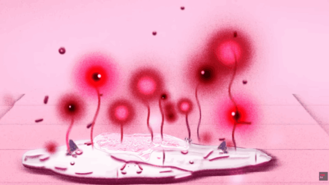 Cluster of glowing cells growing and spreading in tissue