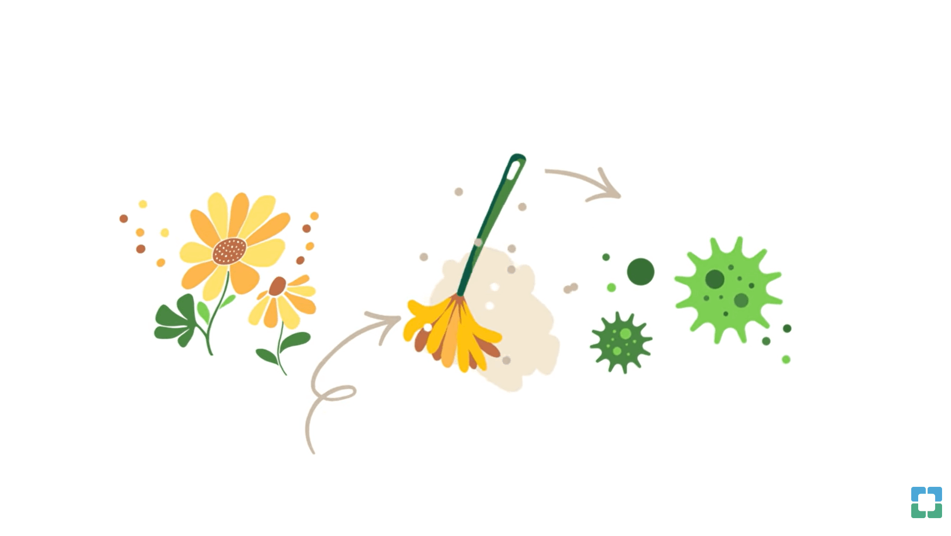 Flowers are sweeping germs through illustrated progression.