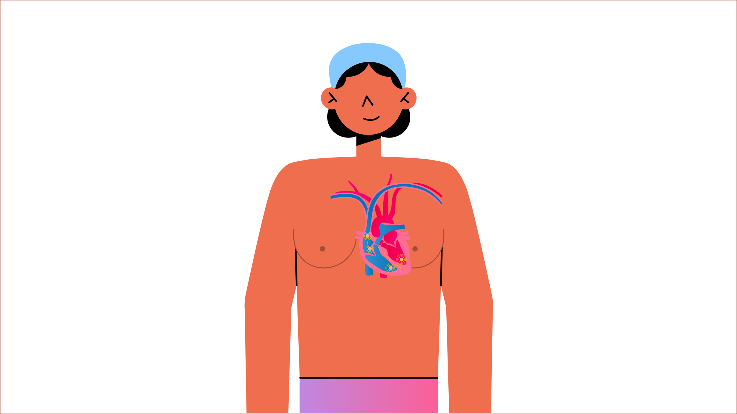 Illustrated cross-section of the heart's natural electrical system for the BHF pacemaker animation