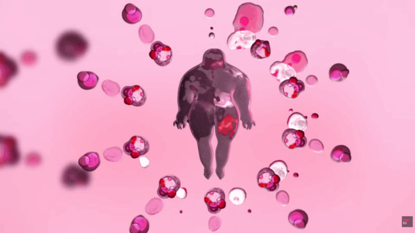 Human body illustration surrounded by floating cells