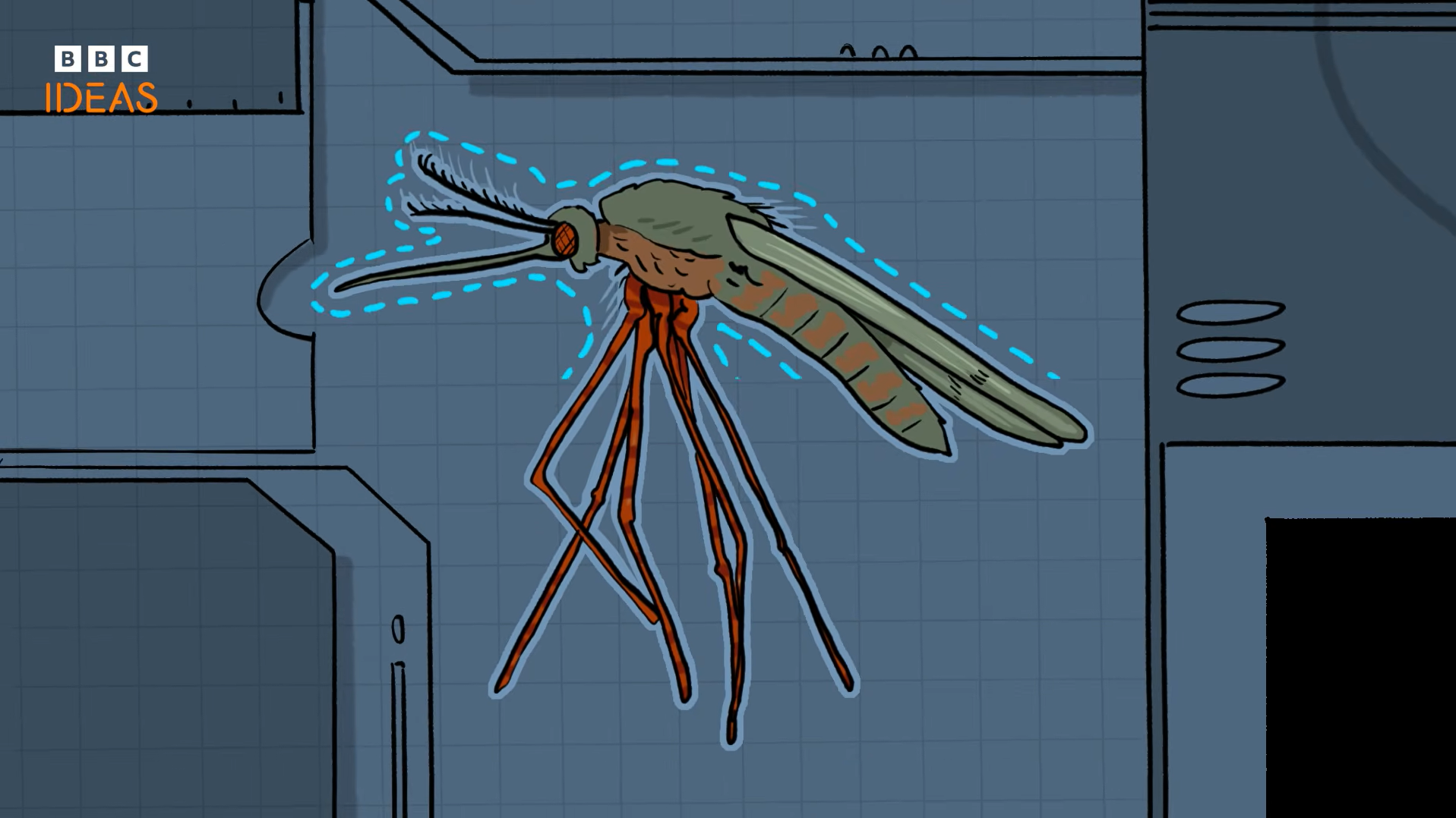 Close-up illustration of a mosquito inside a laboratory setting in a BBC Ideas animation.