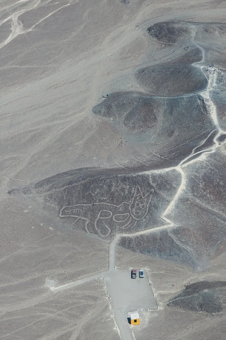 A cat geoglyph seen from the Naza Lines Flight Tour.