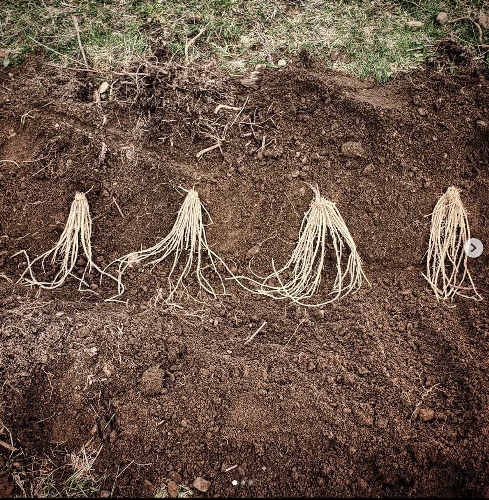 Screen Shot 2023-02-27 at 9.06.51 PM.png