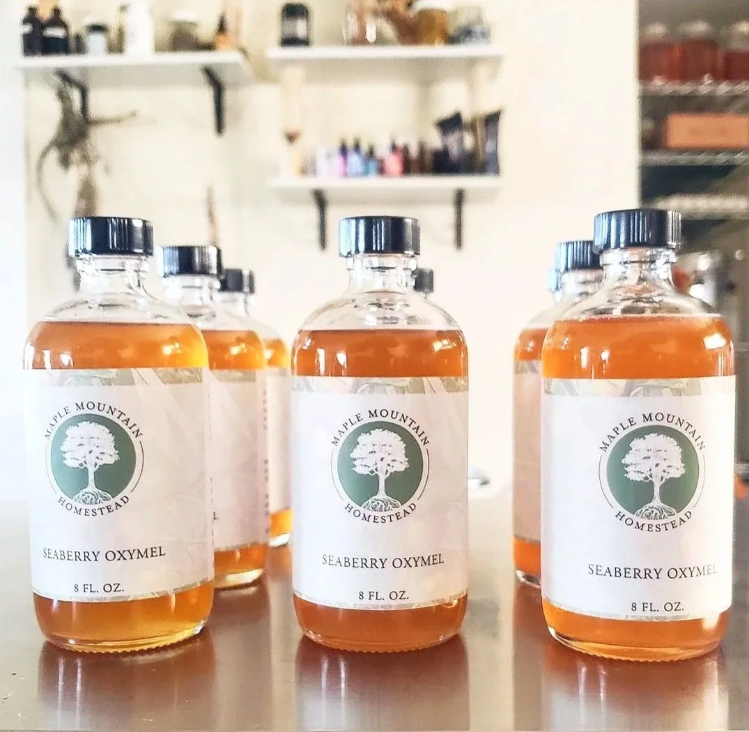 seaberryoxymel.jpg