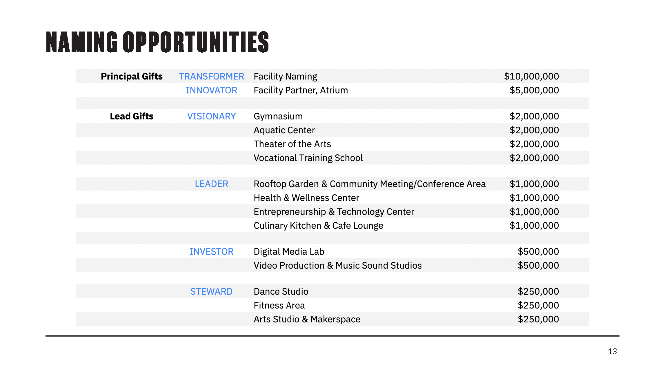 Capital Campaign Presentation_NR_01Dec21_Page_13.png