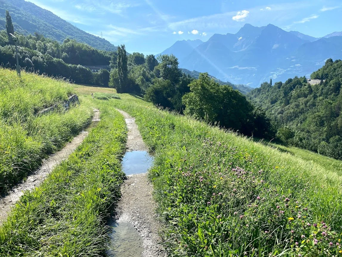 20 Col du Grand St-Bernard to Saint Vincent