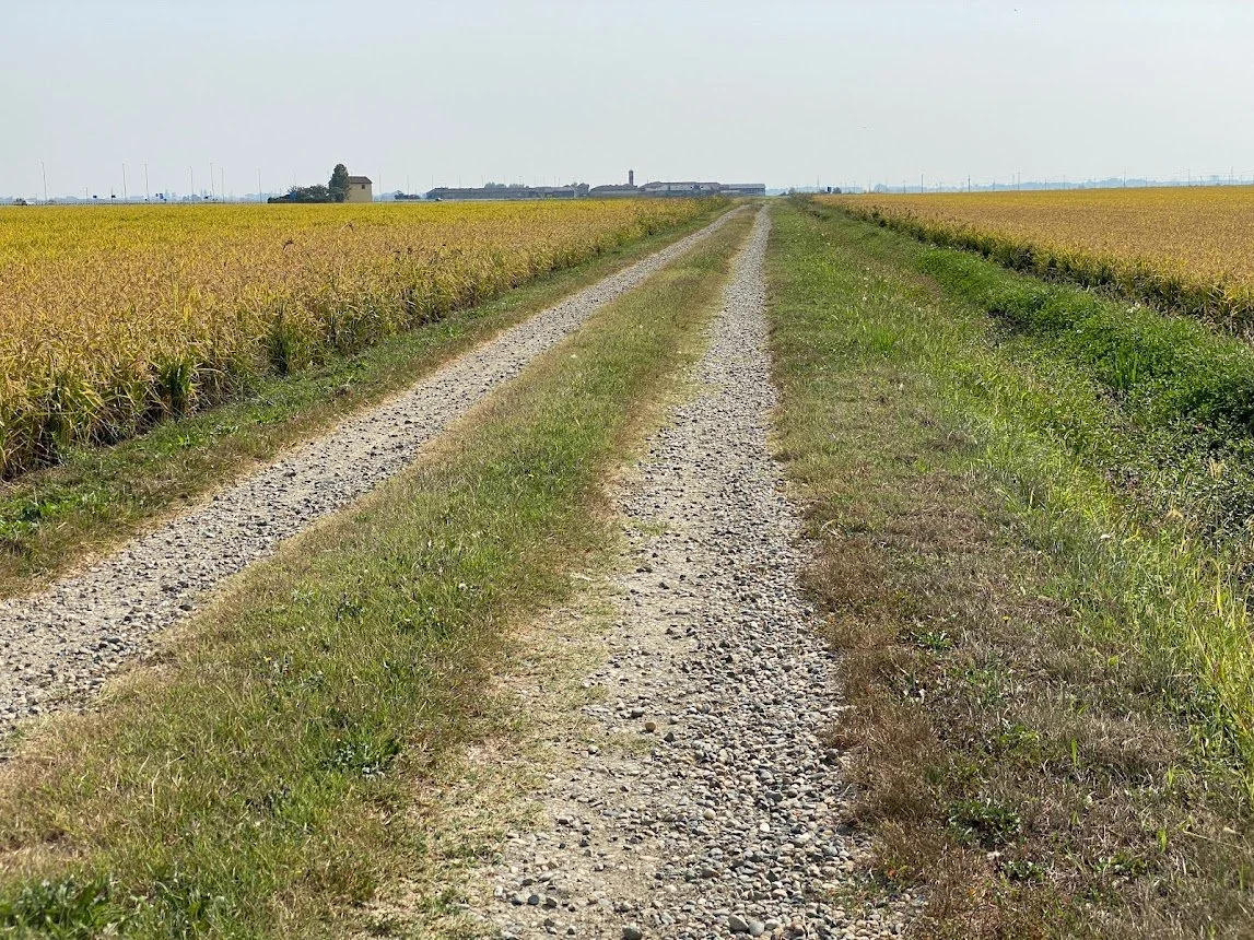 22 Ivrea to Vercelli