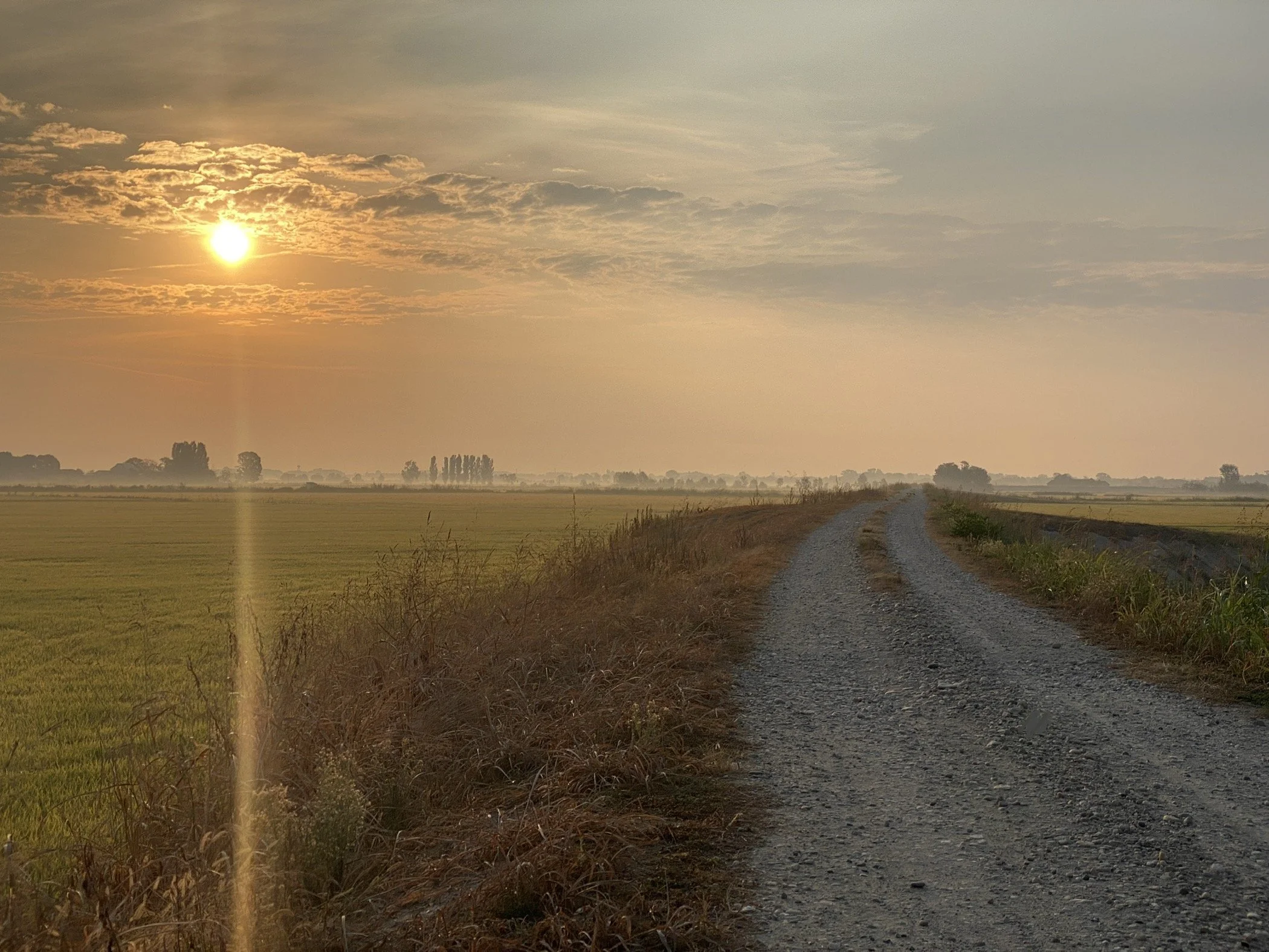 23 Vercelli to Pavia