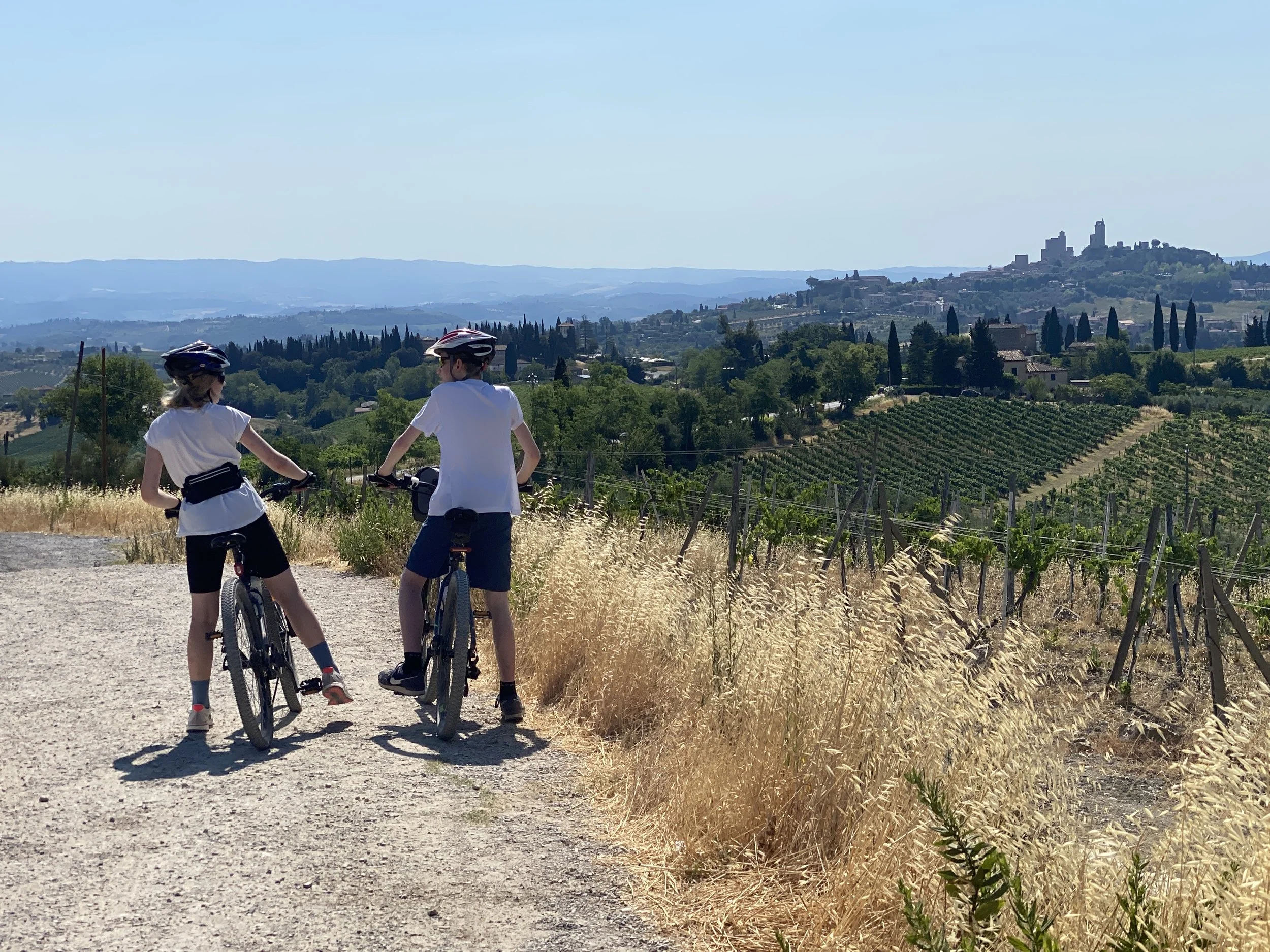Gambassi Terme to San Gimignano, Day 32
