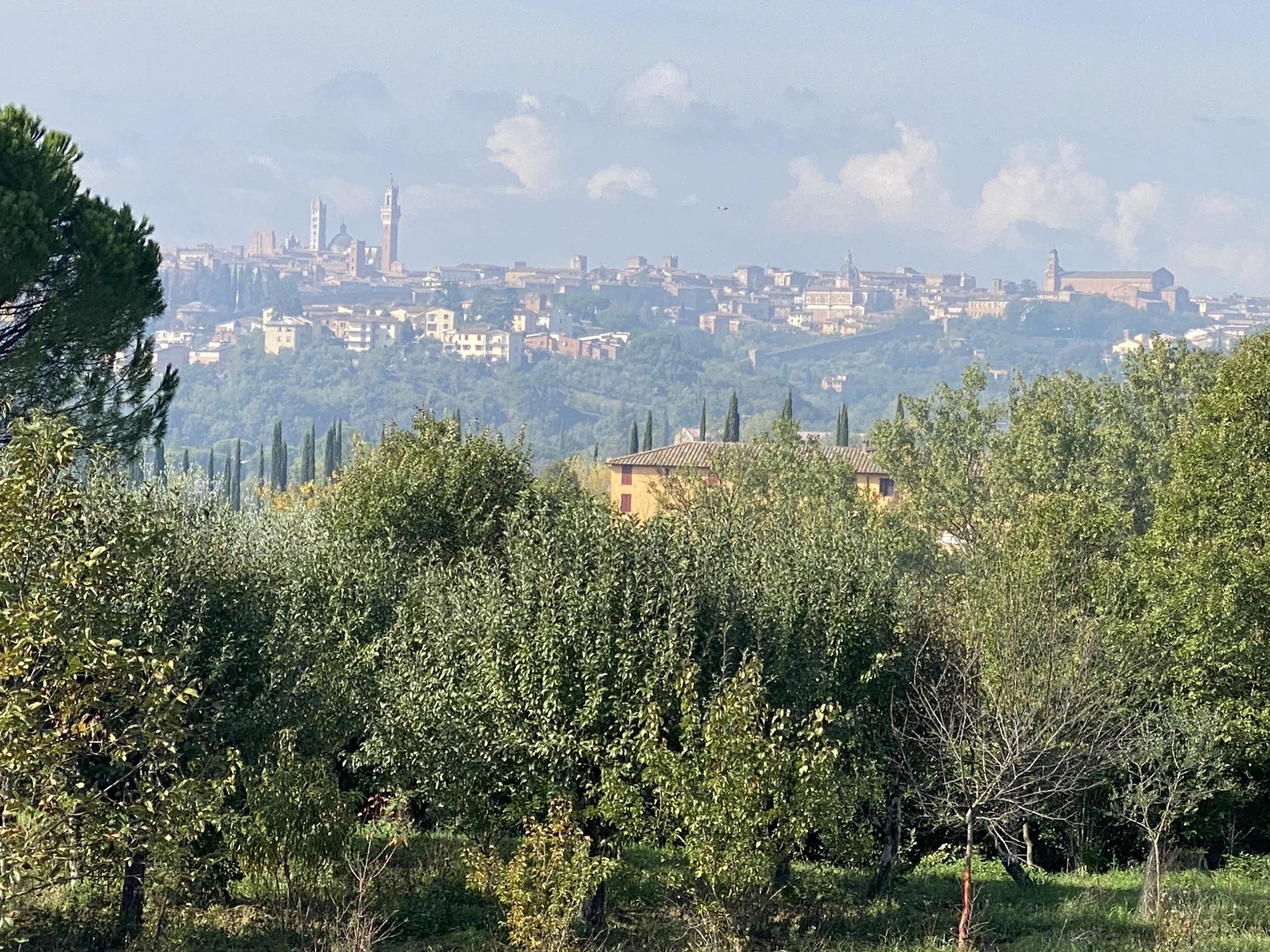 Amazing views of Siena