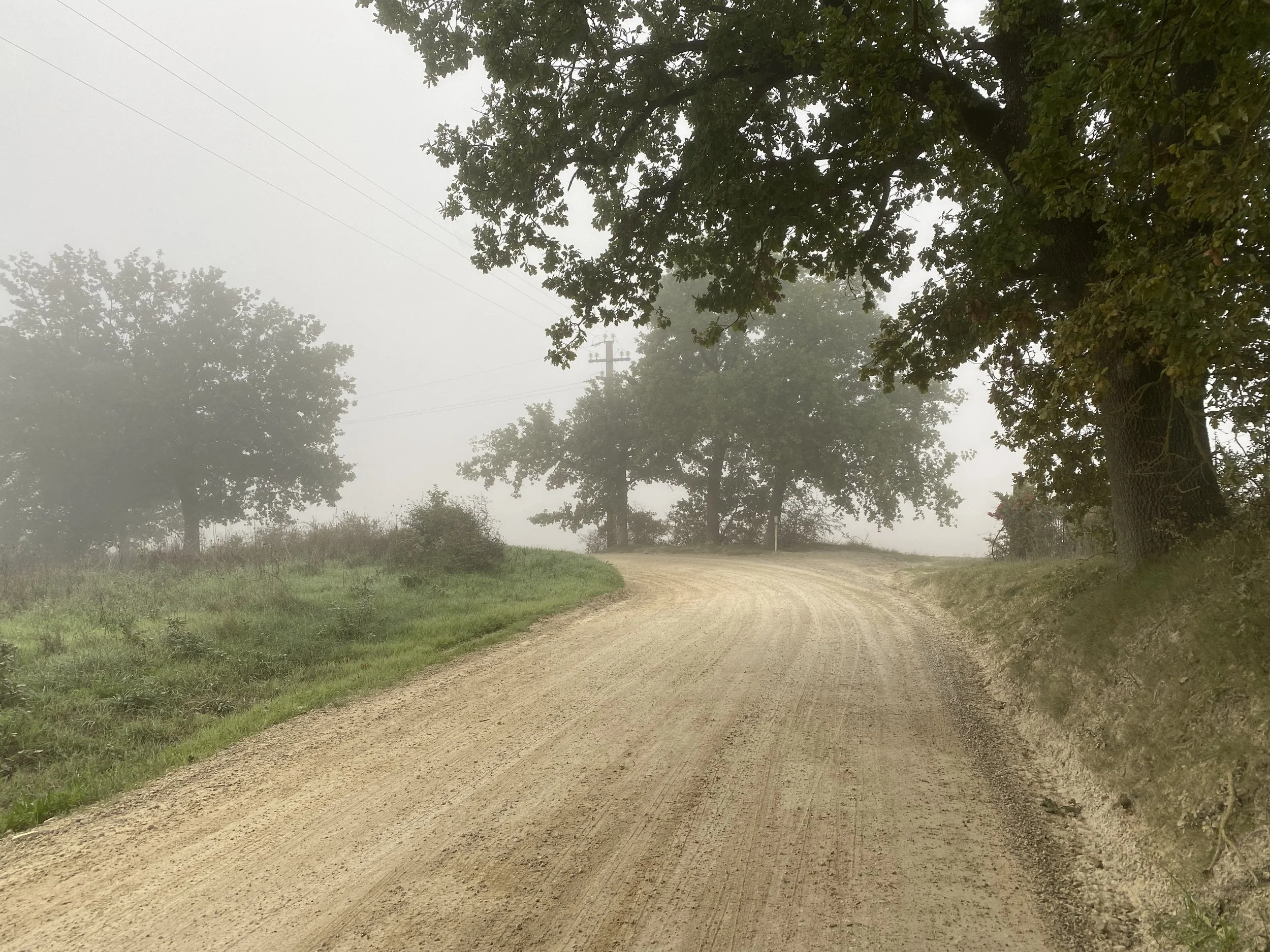 No views of Siena today, some gravel instead