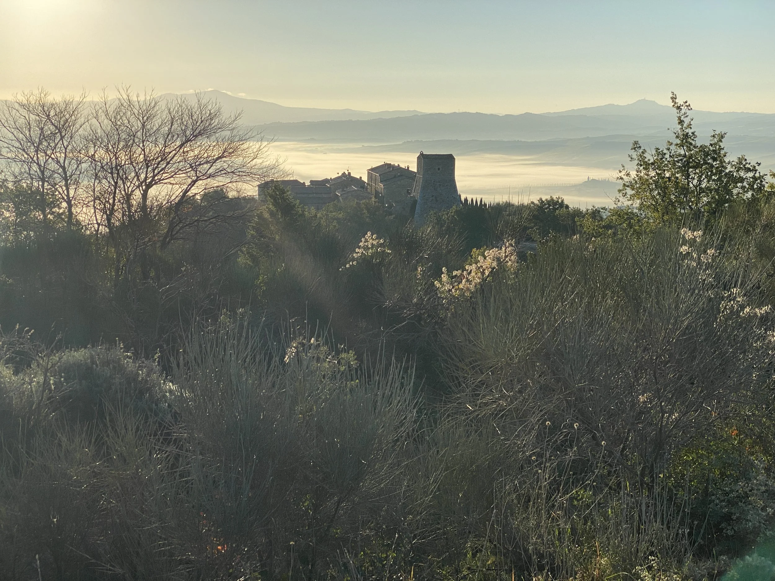 Views over Alto Vignoni