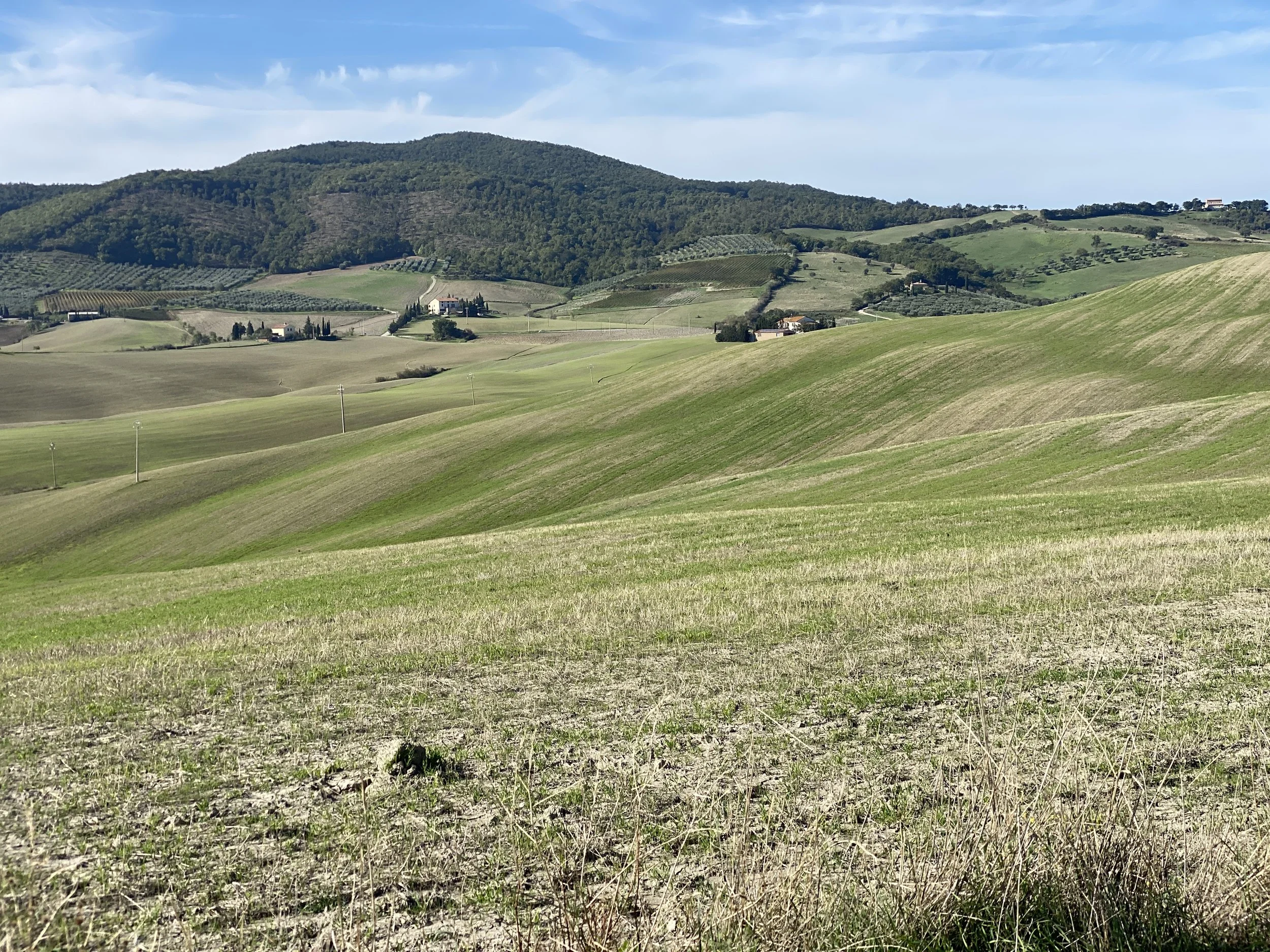Undulating landscape on the way down from Castiglione d'Orcia