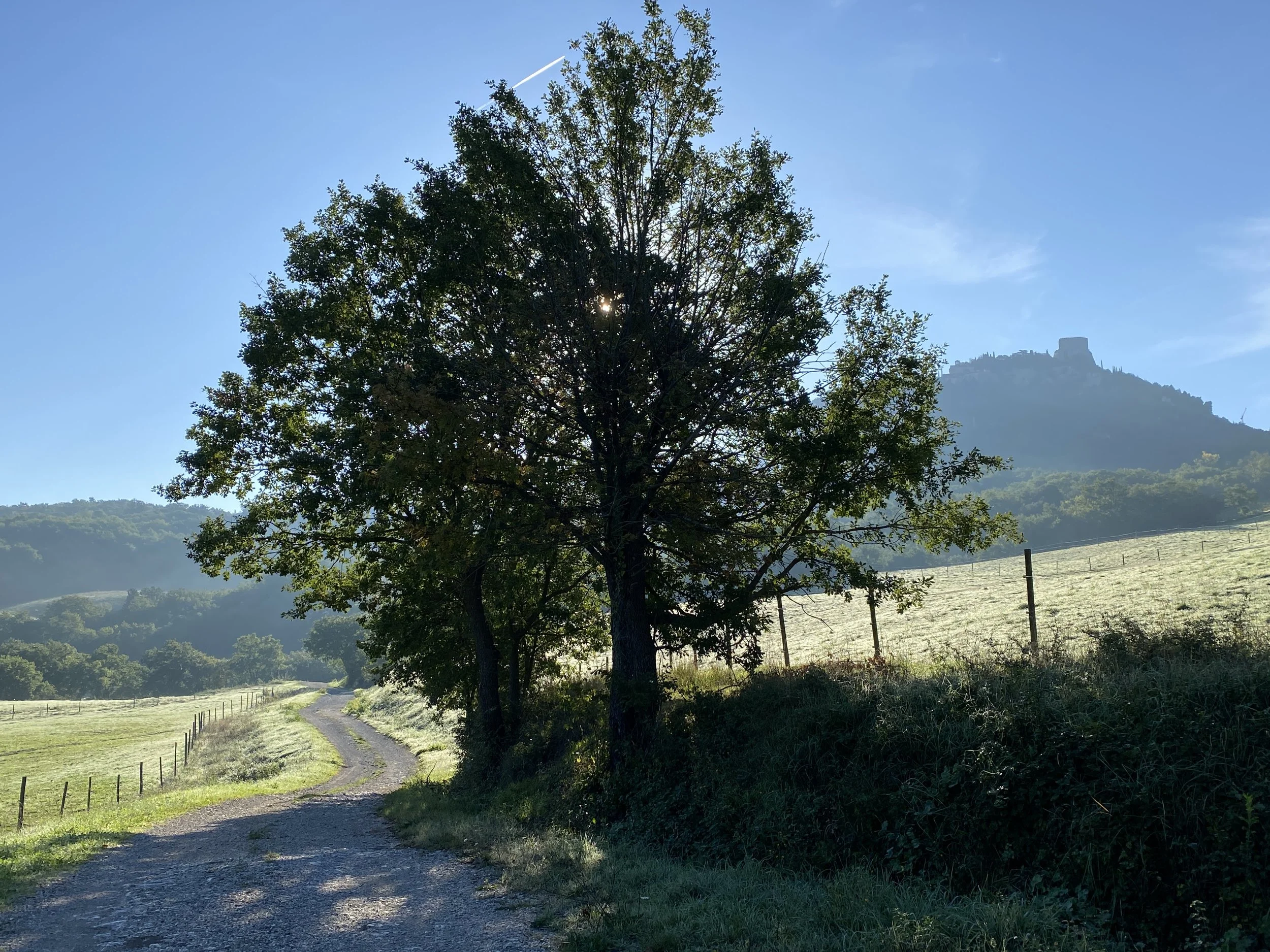 Climbing up to Castiglioni d'Orcia