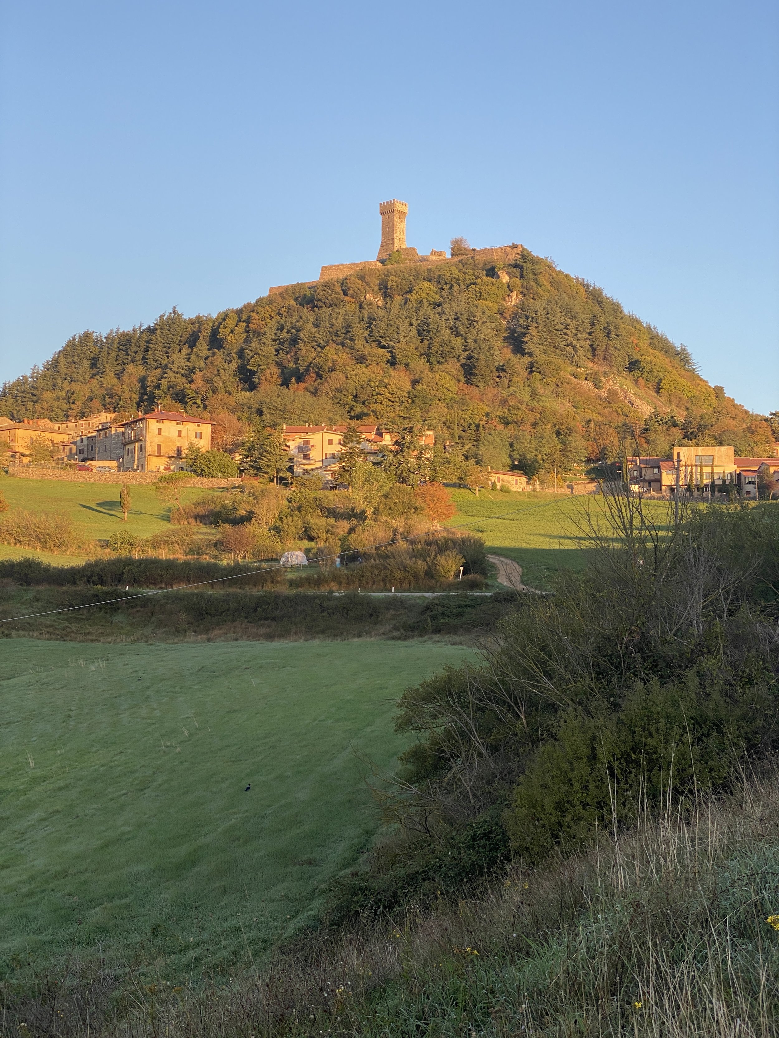 Looking back up to Radicofani