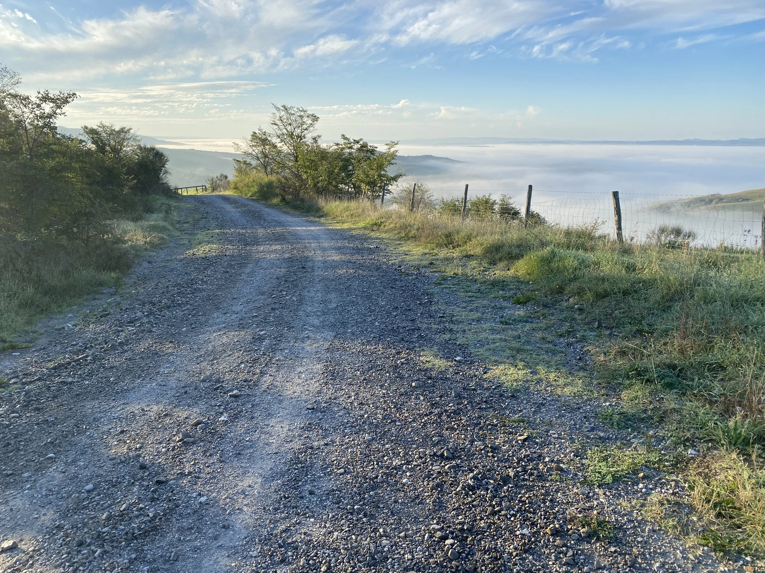 Getting lower towards the mist
