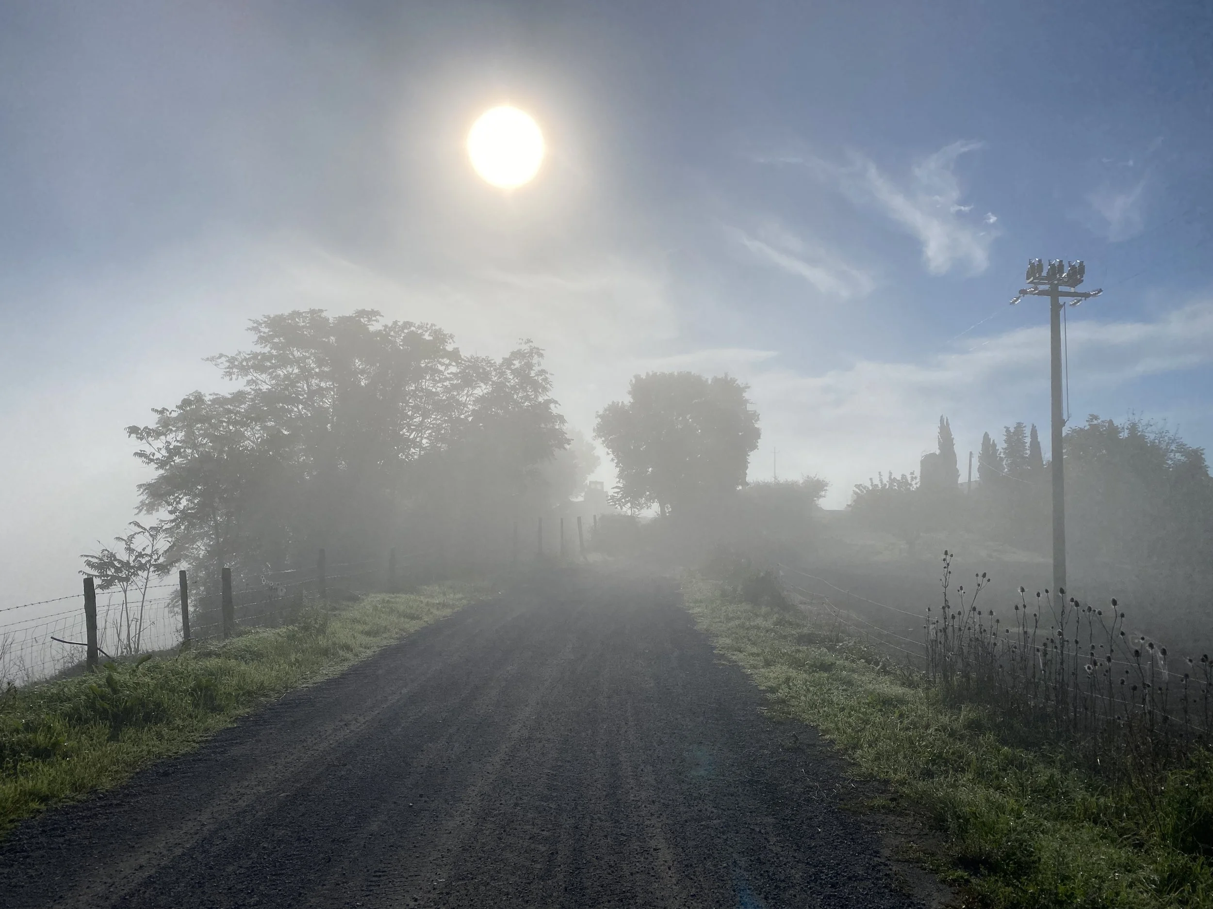 Mist was "blowing" over the road at points