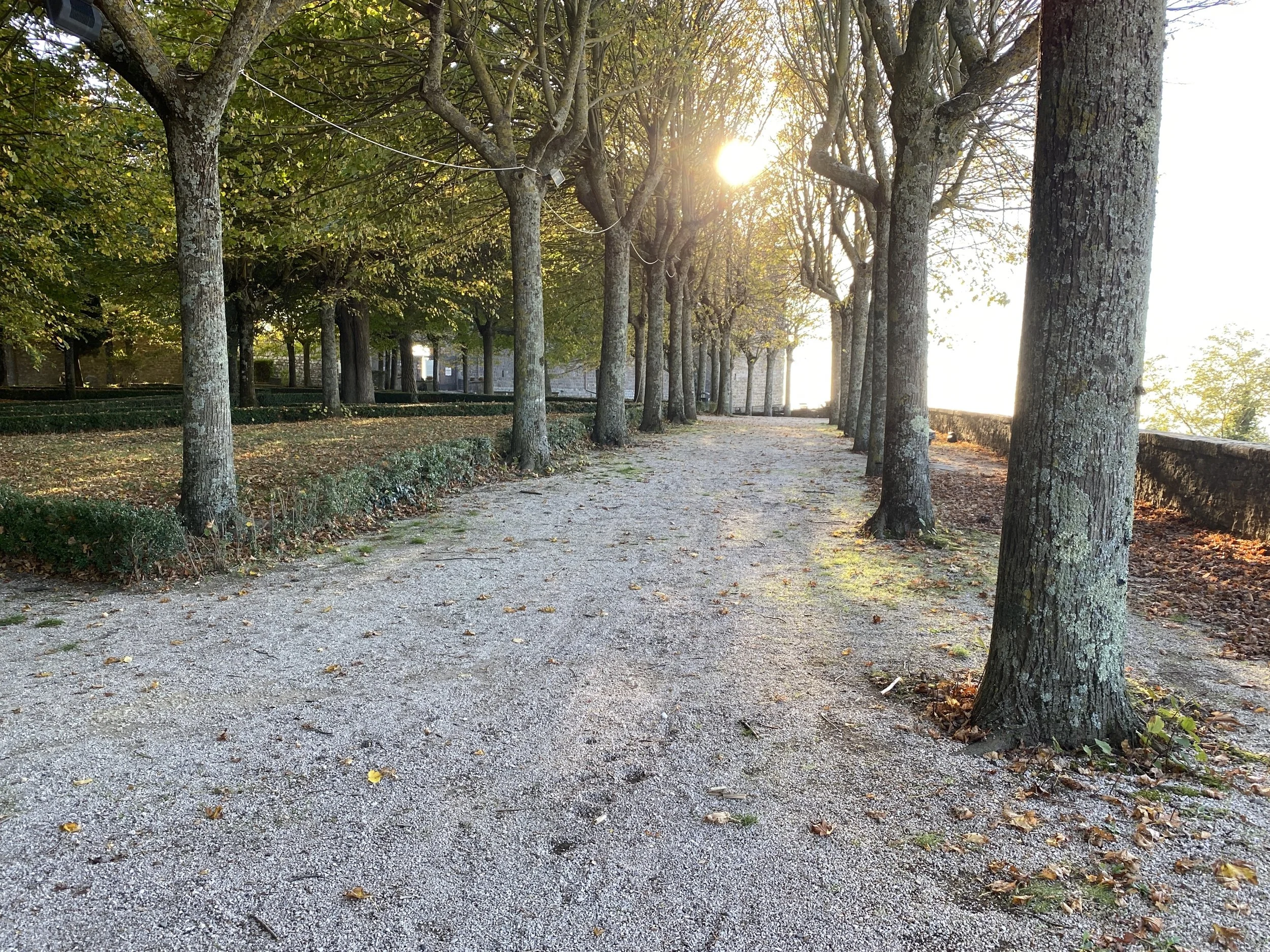 The wonderful park at the top of Montefiascone