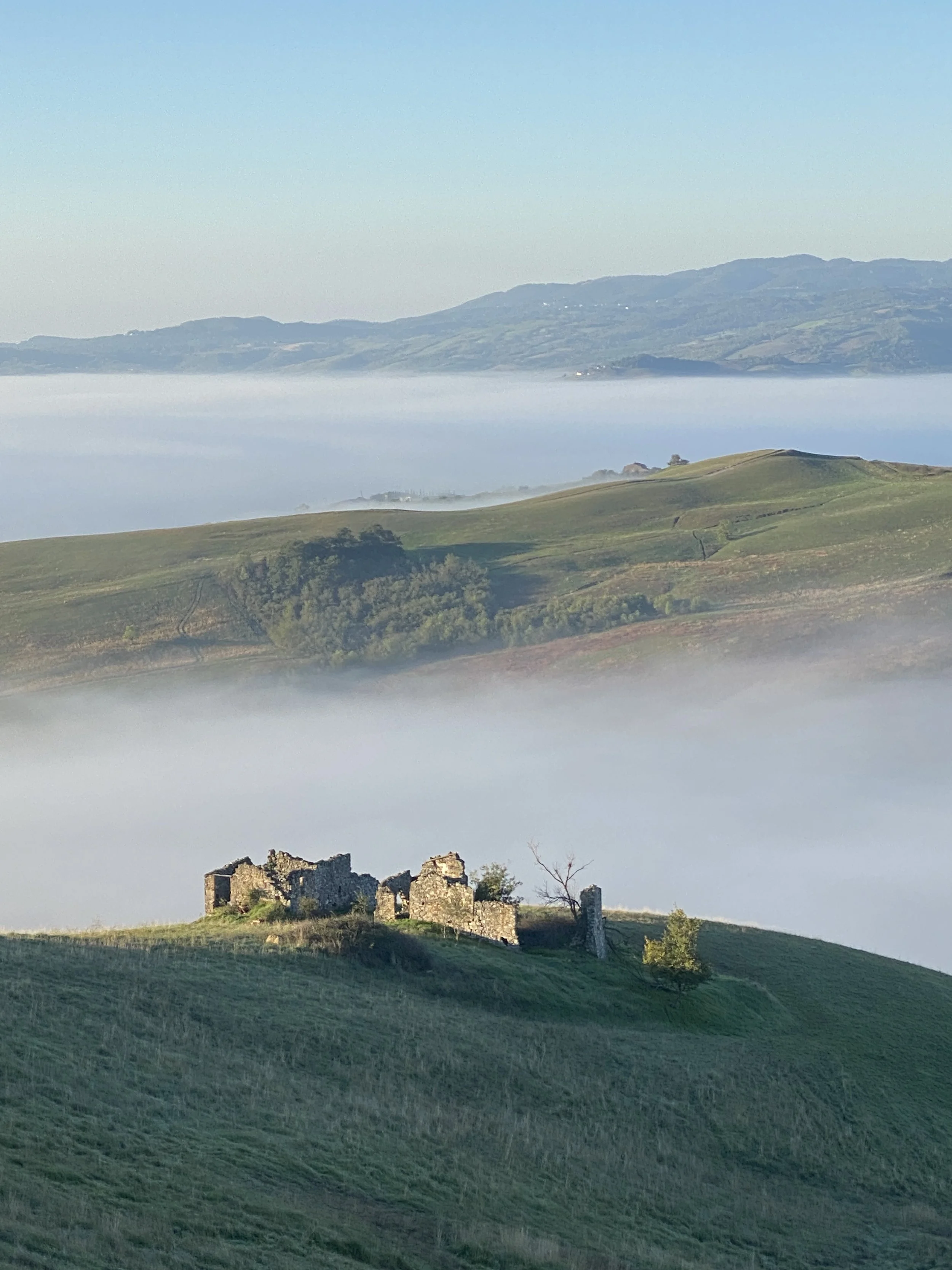 Radicofani to Montefiascone, Day 37