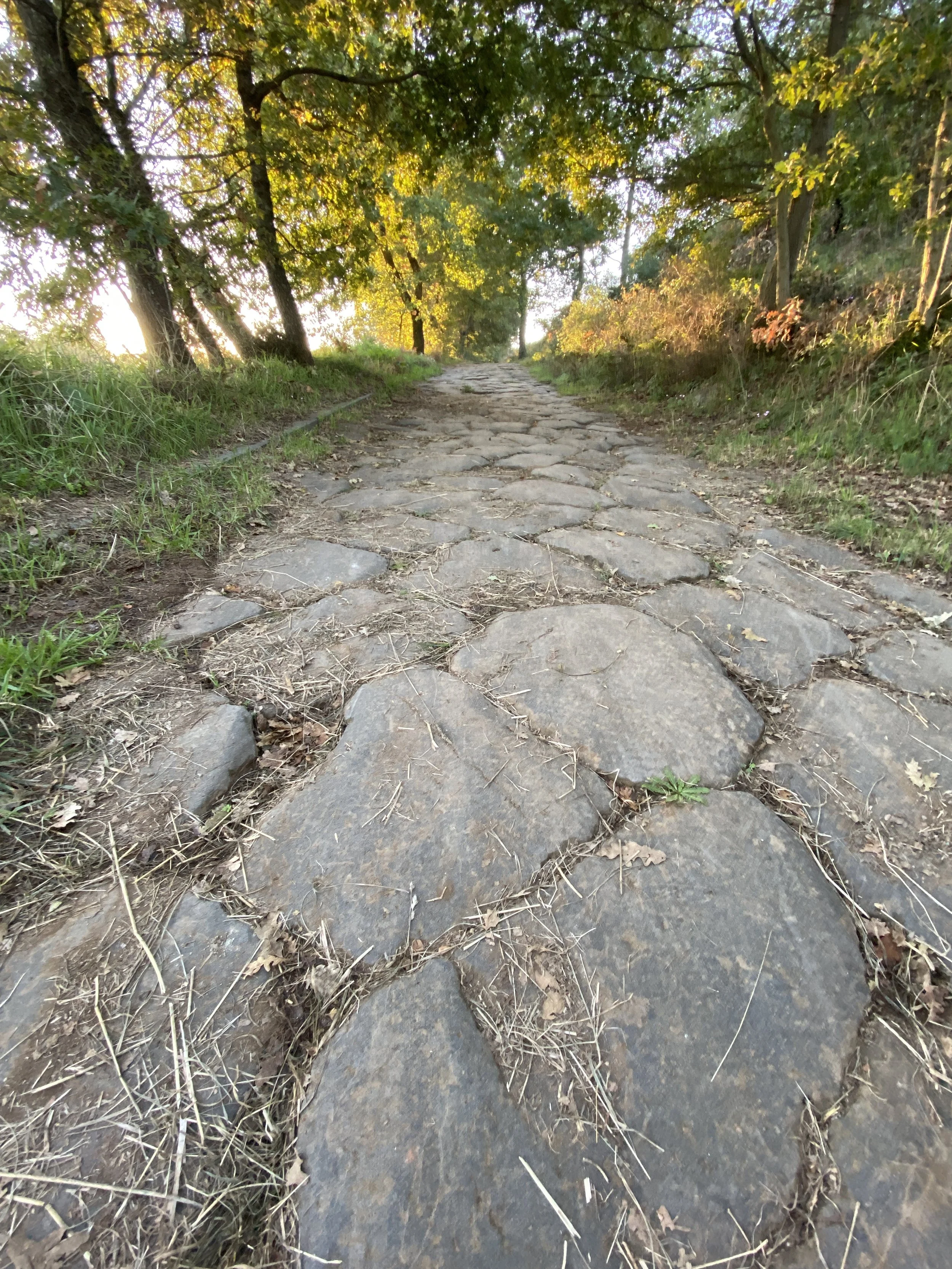 The ancient roman roads